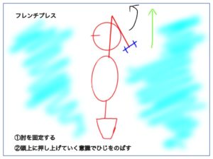 フレンチプレスをする際のポイント