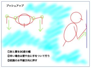 プッシュアップをする際のポイント