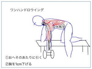 ワンハンドロウイングを解説する絵