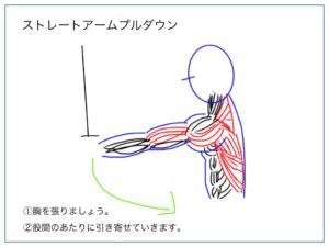 ストレートアムプルダウンの筋トレを解説する絵