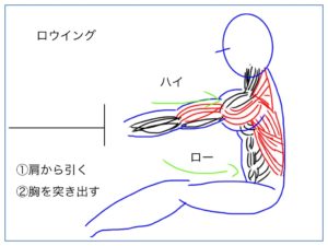 ロウイングで背中筋トレを解説する絵