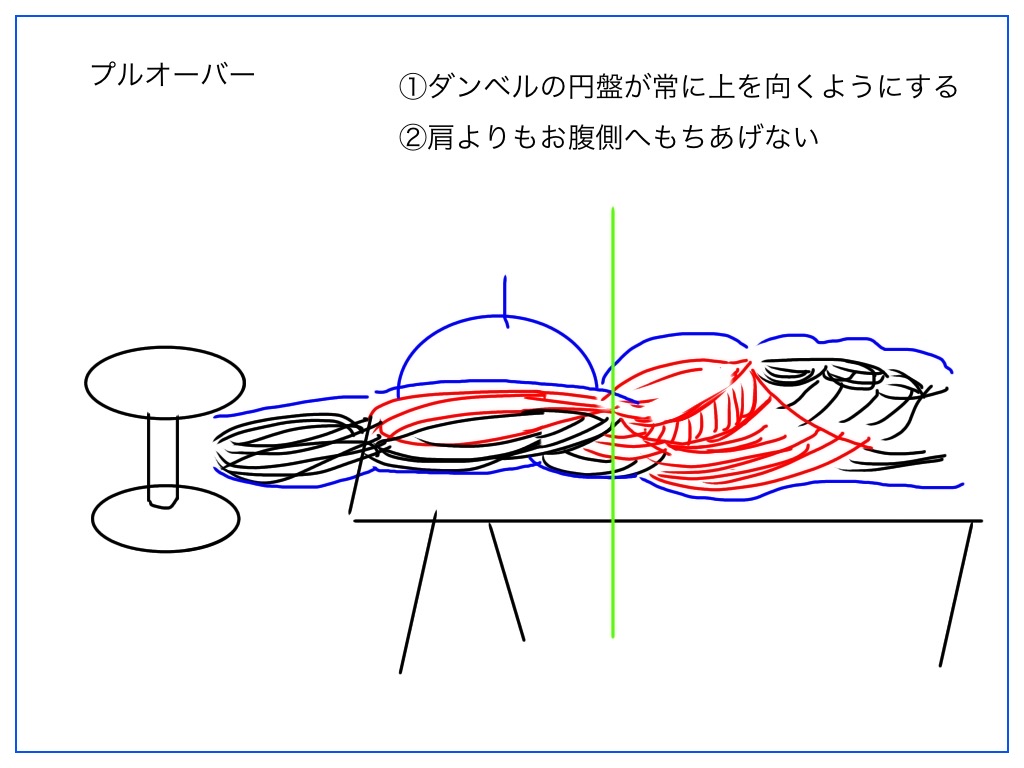 プルオーバーで働く筋肉